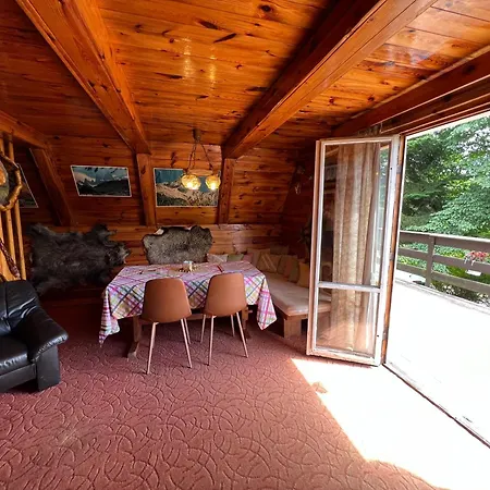 山林小屋 U Rybnika *