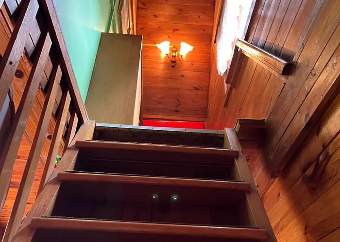 山林小屋 U Rybnika 特鲁特诺夫